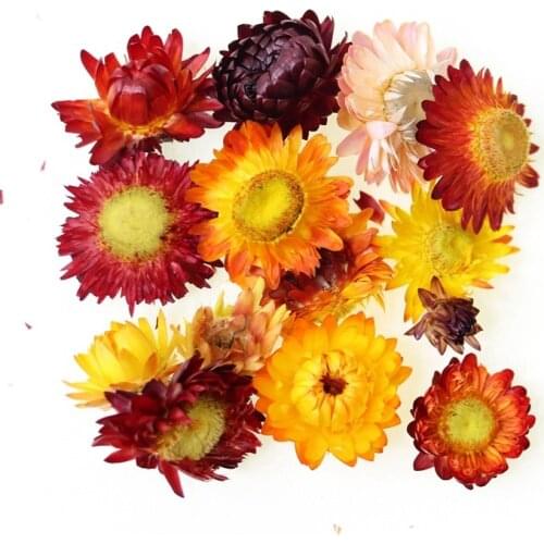 Real Dried Flowers Rose Jasmine Lavender Aromatherapy Candle Resin Filling For DIY Epoxy Mold Jewelry Making Handmade Crafts