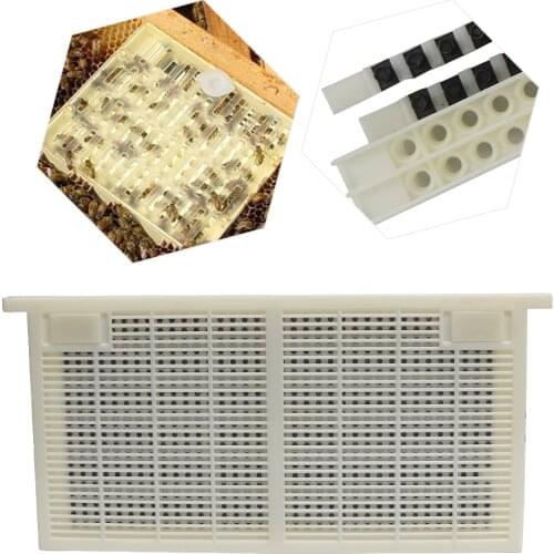 Queen Bee Rearing SystemBee Hive Tools For Beekeeping Equipment Beekeeper Suppiler