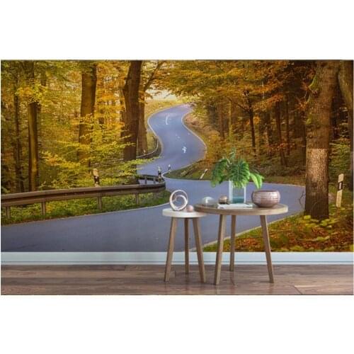 WDBH Custom photo 3d wallpaper Highway high speed landscape wilderness background living room home decor wallpaper for walls 3 d