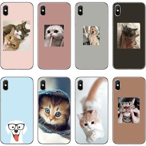 Super cute cats dogs photos Accessories Phone Case For Huawei Honor 20 10i 9X 10 Lite 8S 8C 8X 7C 7X 7A 6C Pro 6 6A 6X 5C V10
