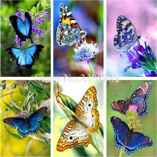 Flowers Butterfly 5D Diy Diamond Painting Full Square Mosaic Resin Handmade Embroidery Mosaic 3D Cross Stitch Kits New Year