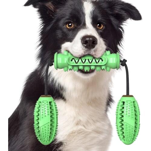 Dog Toys Dog Molar Toy Interactive Rally Training Ball Toy for Pet Chew Bite Tooth Cleaning Toothbrush Feeding Pet Toys