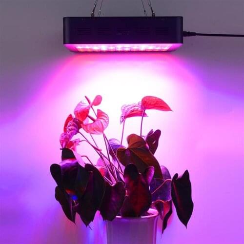 Led Grow Light Full Spectrum 1000W Plants Indoor Growing Lamps Plant Growth Lights Tent Garden Fito LED Fitolampy Fitolamp Phyto