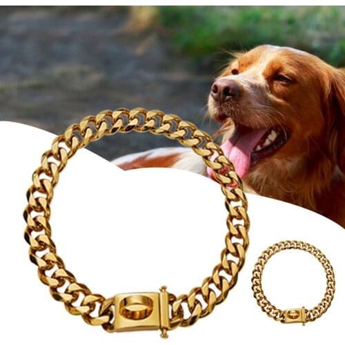 Stainless Steel Golden Color Buckle Design Dog Choker Collar for Pet Supplies