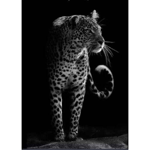 Black white leopards 5D DIY Diamond Painting Kits Round Drill Diamond Animal decor Cross Stitch Embroidery Mosaic