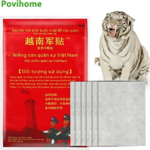 10pcs/bag Pain Relief Patch Chinese Medical Analgesic Joint Pain Rheumatoid Arthritis Bone Hyperplasia Plaster Health Massage