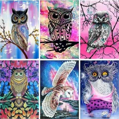 EverShine Diamond Painting Owl Rhinestones Art Diamond Embroidery Cartoon Cross Stitch Bead Picture Kits Handmade Home Decor