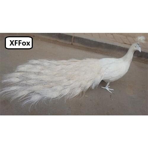 Lovely real life peacock model foam&feather turned white peacock bird gift about 80cm XD0071