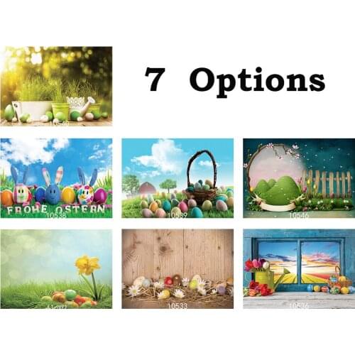 Green Spring Easter Eggs Photo Background Photography Backdrops for Photo Studio Baby Kids Newborn Photo Shooting Photophone 3D