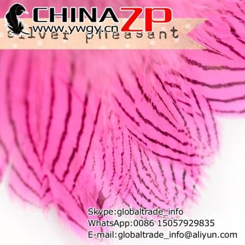 CHINAZP Factory Cheap Wholesale 2000pcs/lot 8~10cm Length Good Quality Dyed Pink Silver Pheasant Body Plumage Feathers
