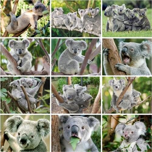 EverShine Diamond Painting Koala Cross Stitch Diamond Embnbroidery Animals Rhinestones Art Bead Picture Kit Handmade Hobby Gift