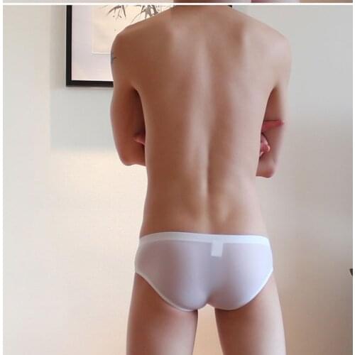 Hot Sale Mens Underwear Briefs Sexy Mens Panties Ice Silk Transparent Low Waist Underpants U Bulge Pouch hombre Slips Silkly