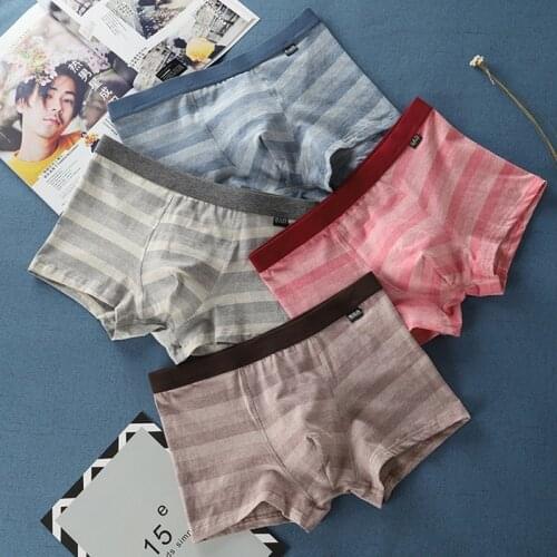 BIERDAN Male Brand Boxershorts Cotton Underpants Pouch Boxers Cuecas Clothing Bag Shorts Sheath Homme Mens Panties XXXL