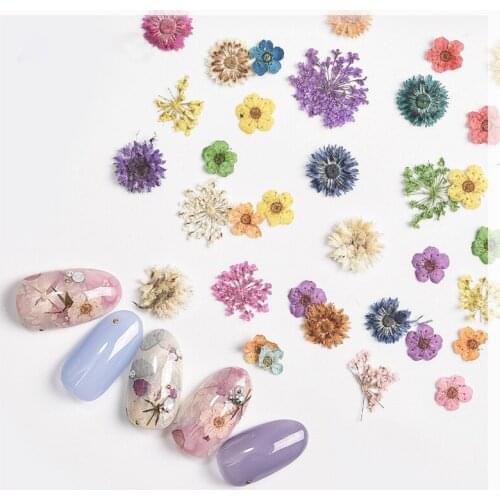 Nail art dried flower decoration set natural nail true dry flower daisy/babysbreath/five petal flower series nail accessories
