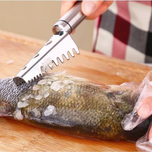 DROHOEY Instruments For Seafood