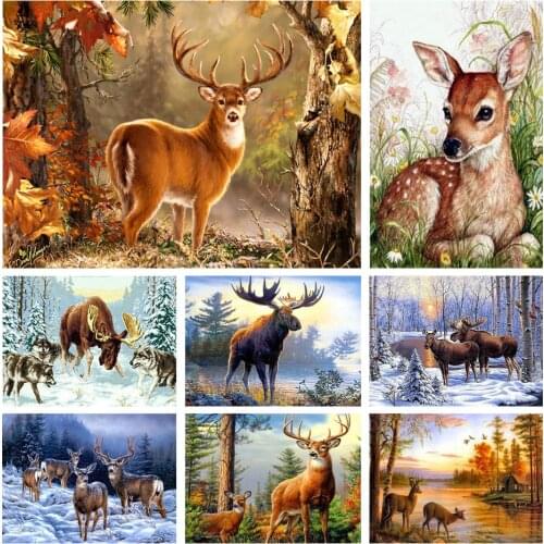 LAIRUN Embroidery Kits