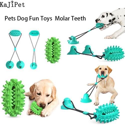 KAJIPET Products For Dogs