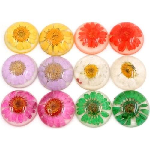 New Fashion 5pcs/lot 25mm 6 Style Colors Flower Natural Dried Flowers Flat Back Resin Cabochons Cameo cabochons