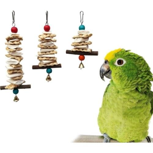 Parrot Chewing Toys Cuttlefish Bone Corn Leaf Woven Straw Fruit Tree Branch Bird Bite Rope Hanging Bell Calcium Supplement Cage