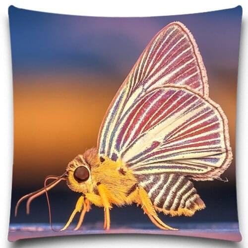 Animals Style Butterfly/Snail Cushion Cover Cotton polyester Pillow Covers Plant sofa Car Seat Decorative 5 size 9 style