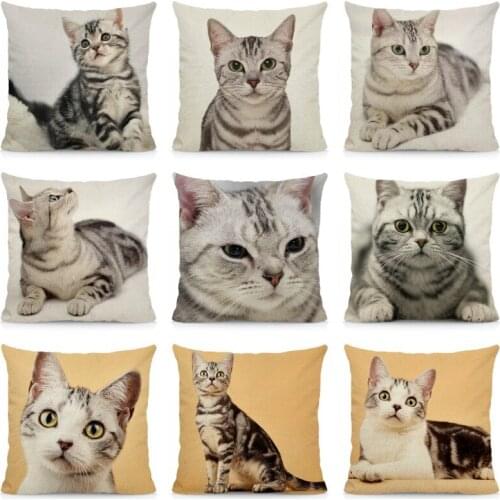 XUNYU Cute American Shorthair Cat Cushion Cover Animal Print Throw Pillow Case 45x45cm DWM010