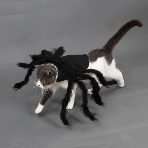 Cat Dog Halloween Spider Pet Dress Up Spider Wing Clothes for Puppies Cats Halloween Pet Cat Dog Costumes Cute Dress