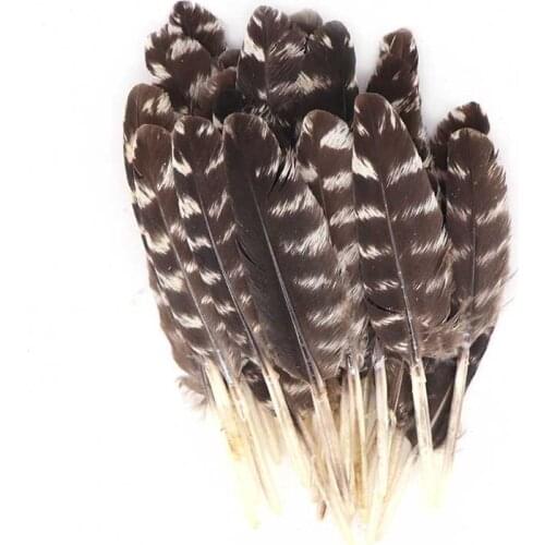 Wholesale 100pcs/lot turkey feathers 10-15cm/4-6inches For celebration carnival DIY Decoration feathers for crafts