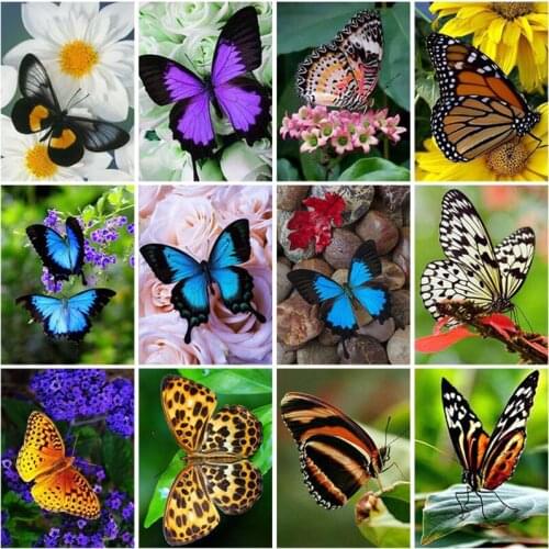 Diy Butterfly 5D Diamond Painting Full Square Drill Animal Diamond Embroidery Set Mosaic Cross Stitch Home Decor Wall Art Gift