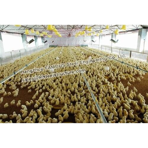 Structural Steel Cow Chicken Shed With Sandwich Panels roof and wall