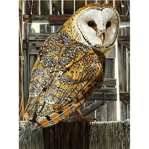 Kexinzu Full Square/Round 5D Diy Diamond Painting Cross Stitch "Animal Owl" Diamond 3D Embroidery Mosaic Home Crafts