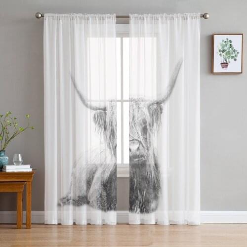 Animal Scottish Cow Window Treatment Tulle Modern Sheer Curtains for Kitchen Living Room the Bedroom Curtains Decoration