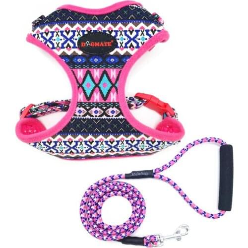 Dog Harness Vest and Leash Set Printing Dog Vest Harnesses for Small Medium Dogs Puppy Chihuahua Cat Leash Collar