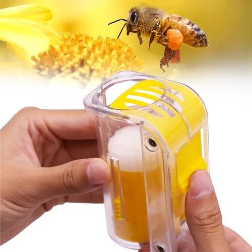 1Pc Bee Queen Marker Bottle Bee Mark Cage Plastic One Handed Marking Catcher With Plunger Plush Garden Beekeeping Supplies