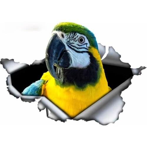 Car Stickers Decor Motorcycle Decals Torn Metal Parrots Decorative Accessories Creative Sunscreen Waterproof PVC,13cm X 9cm