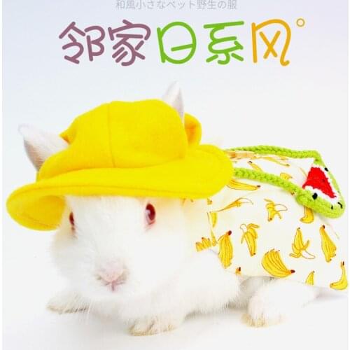 Dutch pig rabbit skirt clothing winter dress one piece fishtail skirt pink floral dress womens dress hamster chipmunk coat