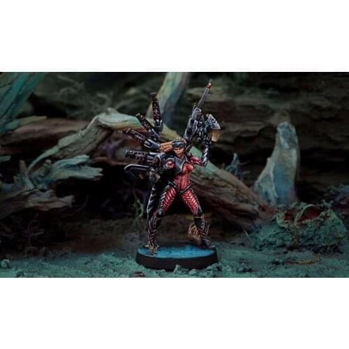 INF Reconstruction Warrior Ko Dali