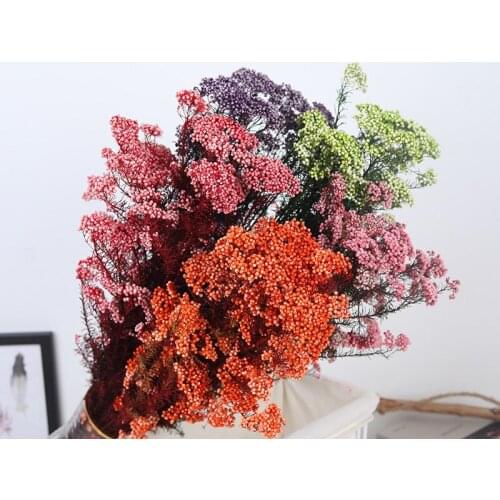 Natural Fresh Preserved Mi Flower,Dried Eternal Flower for Wedding Party Home room Decoration accessories,Display flowers Beauty