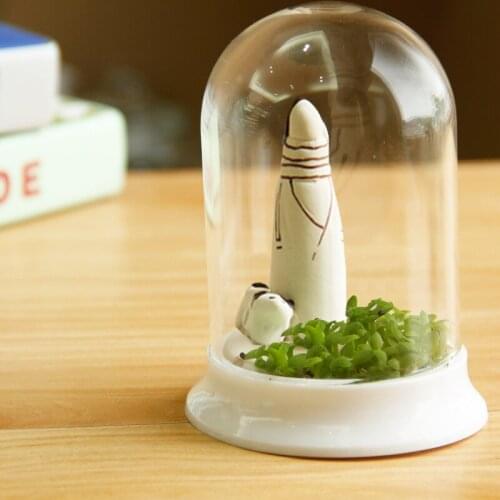 Taobao supply Cruiser Creative Ecologies potted planting office desktop lazy succulents potted radiation