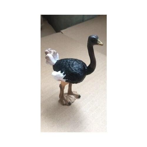 Pvc figure model Male ostrich toy
