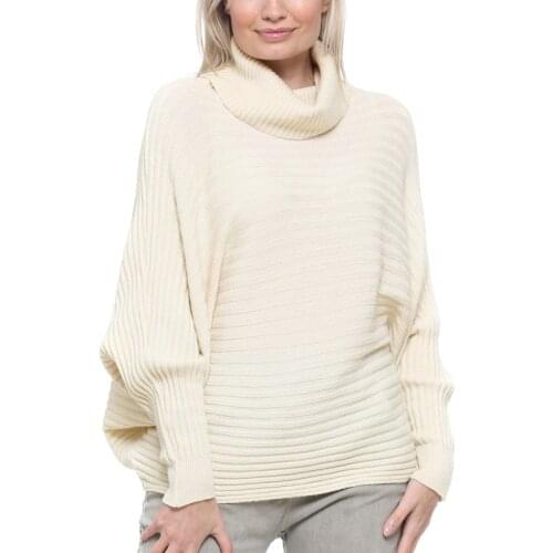 Winter Turtleneck Sweater Women Autumn Solid Bat Sleeve Loose Sweater Women Casual Jumper Loose Sweaters Oversized