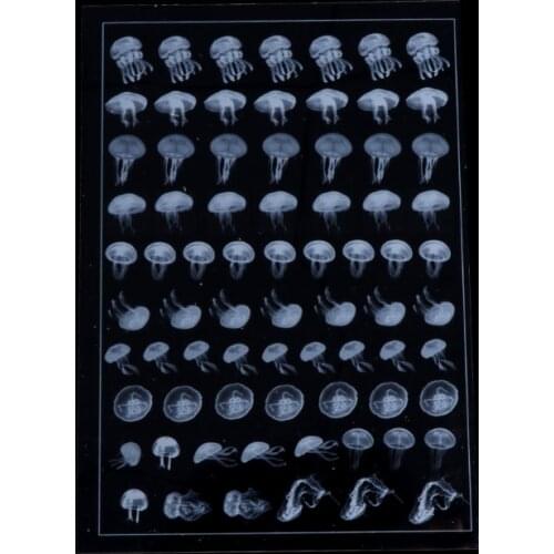 Jellyfish Transparent Material Epoxy Slicone Mold Making Jewelry Filling For DIY Craft