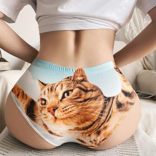 Cute Sweet Orange Cat Print Girls Panties High Stretch Low-Waist Underwear Sexy Butt-Up Seamless Womens Briefs Lingerie Tanga