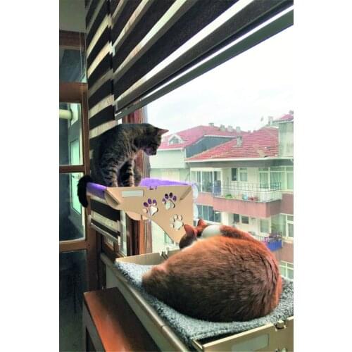 ATA HOME Products For Cats