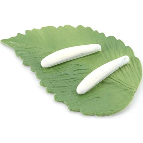 Plastic Bee and Seed Life Cycle Toys Figure for Kids Child Early Education