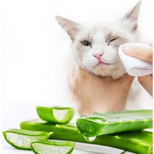 100PCS/Set Pets Dogs Cats Cleaning Paper Towels Eyes Wet Wipes Tear Stain Remover Gentle Non-intivating Wipes Grooming Supplies