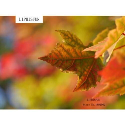 5D DIY Diamond Painting kit Square Resin Rhinestone Embroidery Cross Stitch Full Drill Home Wall Decor Maple