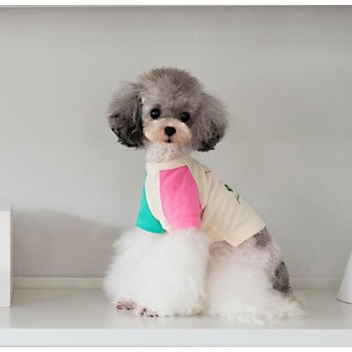 Cat T-shirt Chihuahua Clothes Small Dog Costume Tee Shirt Autumn Pet Clothing Outfit Yorkies Maltese Poodle Dog Apparel Garment