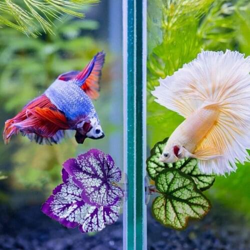 Fish Tank Aquarium Decorations Fish Bed Hammock Simulation Ornamental Leaf Betta Fish Rest Spawning Leaf Betta Bed