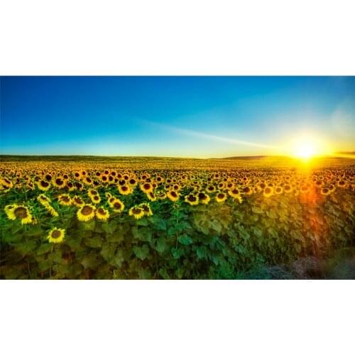 5D DIY diamond Painting sunflower Cross Stitch diamond embroidery mosaic diamonds wall stickers home decor vase Y1241