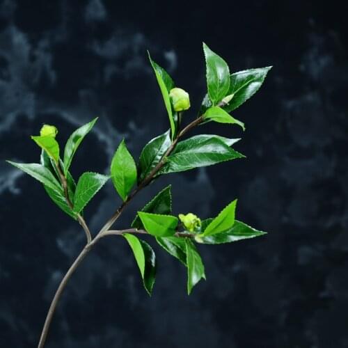 MBF 8PCS Factory Directly Real Silk Plastic Artificial Tea Leaves Artificial Plant For Decoration